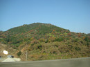 IMG_0827-s.jpg